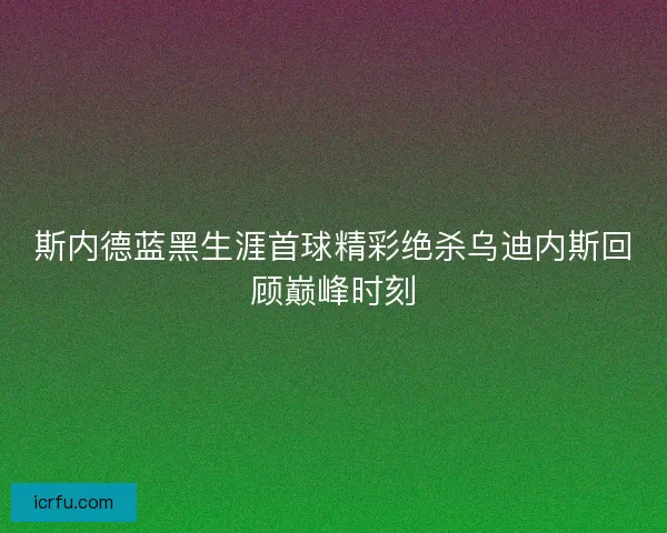 斯内德蓝黑生涯首球精彩绝杀乌迪内斯回顾巅峰时刻